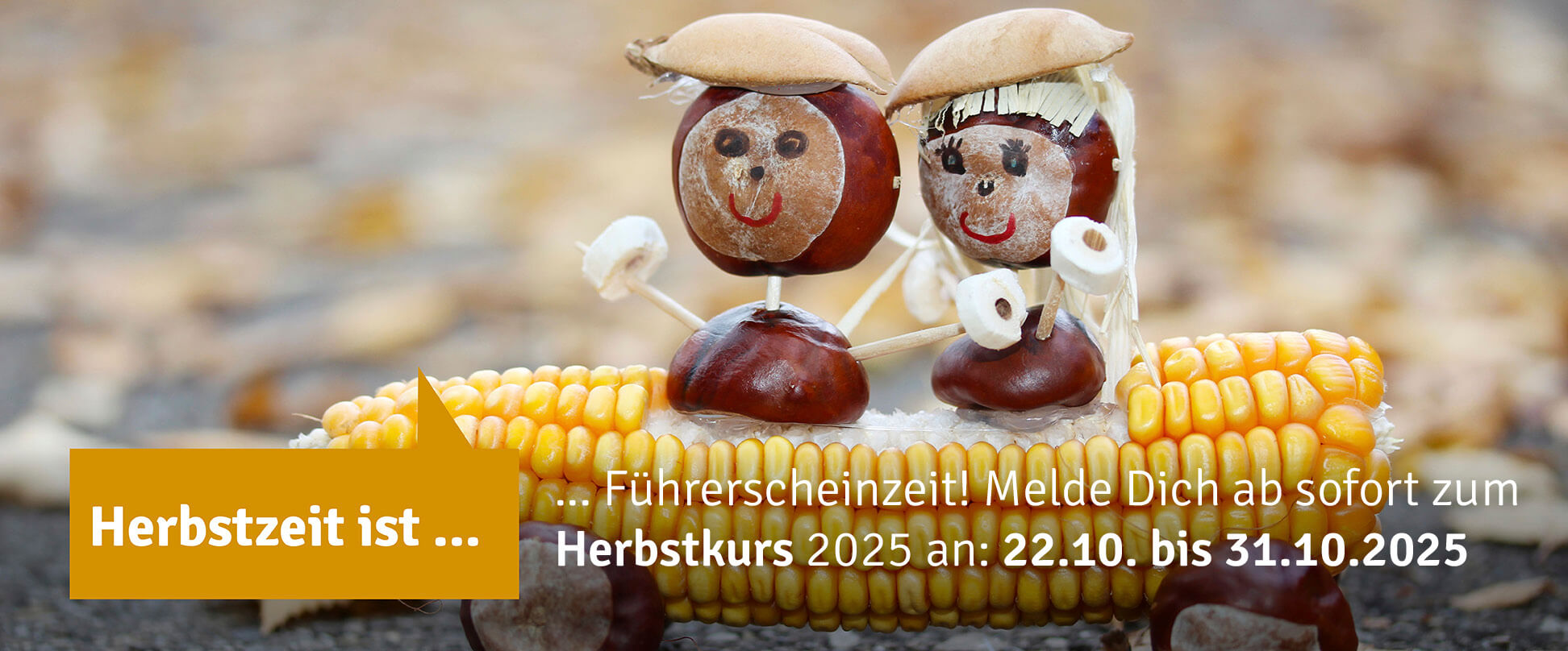 Herbstkurs_25_Slider.klein